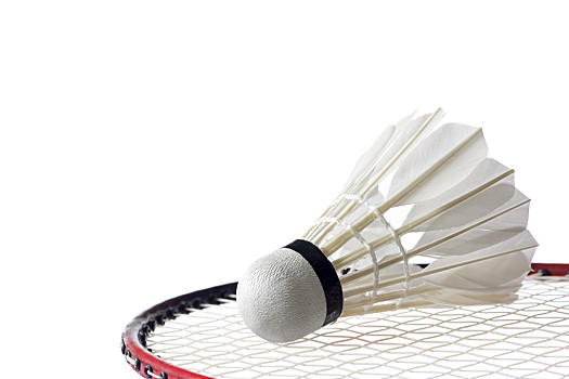 调的团队配 调的团队配